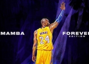 开云体育APP下载-开拓者关键战突围雄鹿，拉梅洛贡献制胜表现