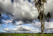 开云体育app-印尼羽毛球队鏖战英格兰羽毛球队，辛杜完成帽子戏法的简单介绍