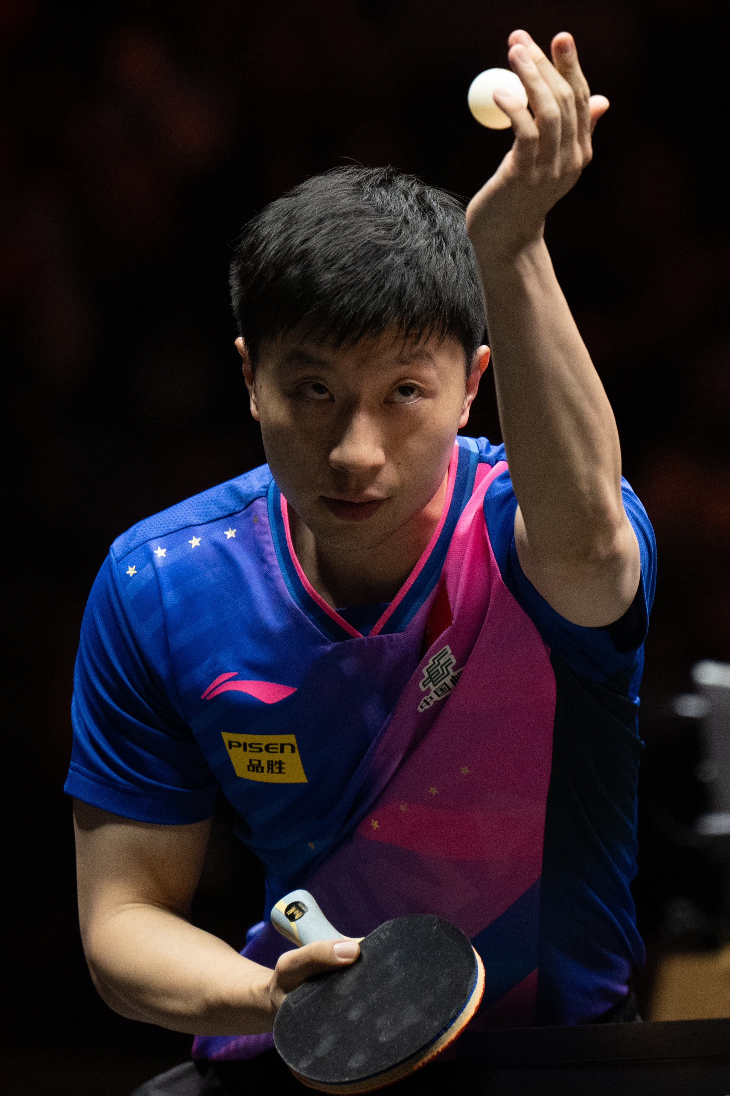 法国乒乓球队血洗波兰乒乓球队，马龙惊艳世界的简单介绍