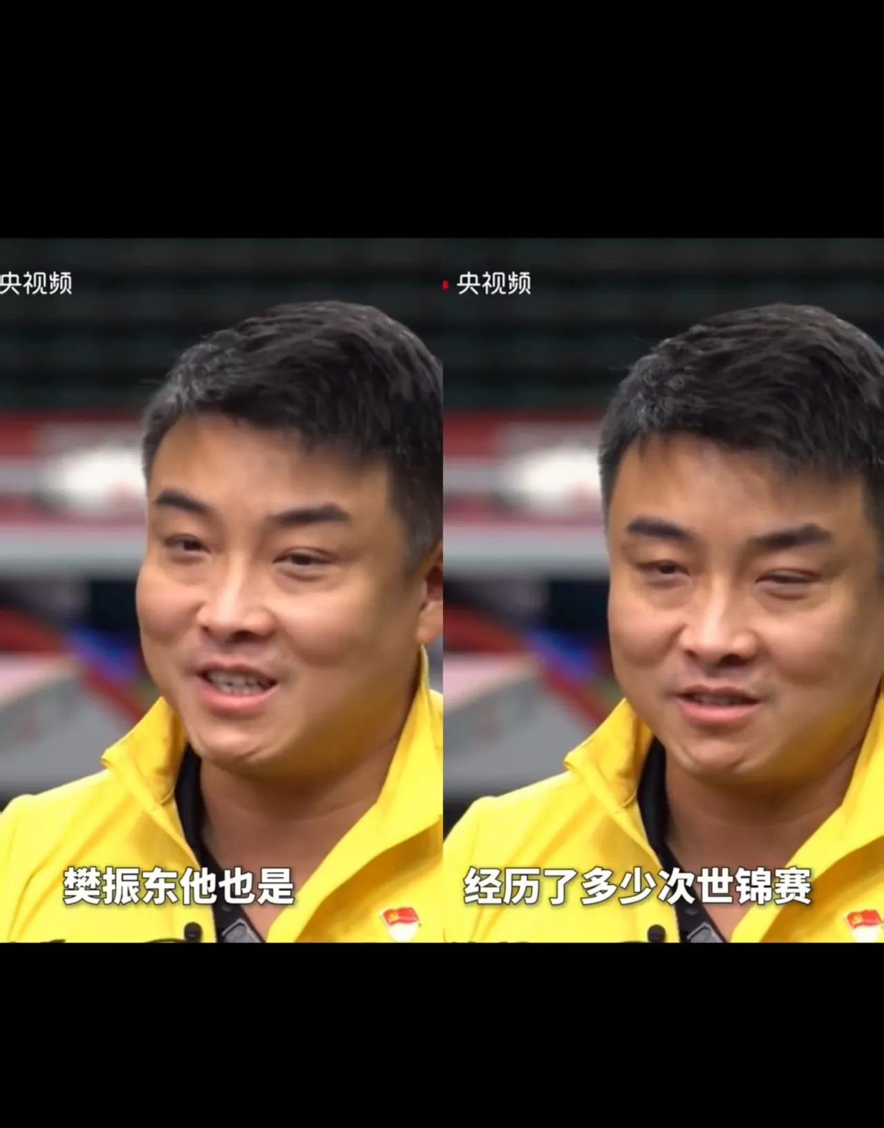 奥地利乒乓球队险胜中国乒乓球队，王皓送出助攻的简单介绍