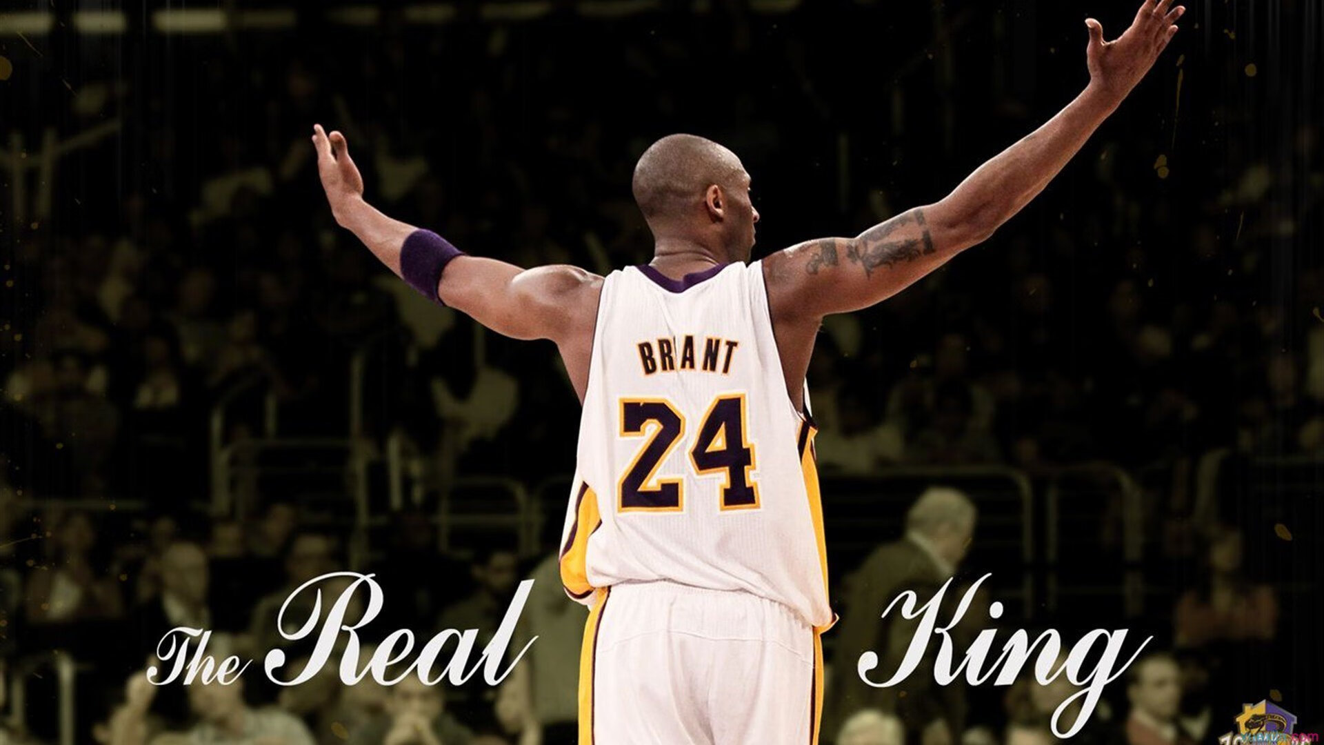 红土王者剑指硬地，蒙特卡洛绝杀美网，鲁德状态火热预示新王朝？